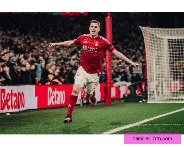 诺丁汉森林俱乐部新赛季引援与保级战略全面解析最新动态深度观察